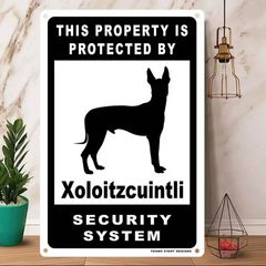 雑貨【Xoloitzcuintli/ショロイツクインツレ】 Dog ドッグ 犬 メタルポスタ― Security セキュリティー 警告 ヤードサイン メタルプレート ブリキ看板 -215のサムネイル