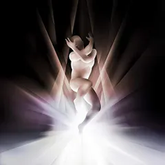 シール(中古品)