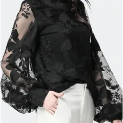 【ブラック★Ｌ】レディース ラウンドネック ブラウス　レース　長袖　シースルー　バルーンスリーブ