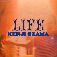 小沢健二 シングルCD14枚セット 小沢健二 シングルCD14枚セット - メルカリ