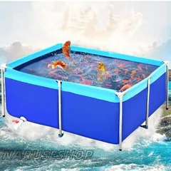 金魚　鯉　大型タライ？タイライトt300 引き取り限定 金魚 鯉 大型タライ？タイライトt300 引き取り限定