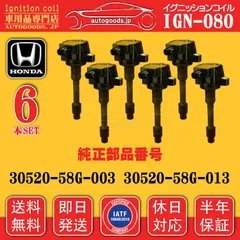 イグニッションコイル IGN-080 6本セット ホンダ HONDA 30520-58G-013 3052058G013 NSX NC1-100 NC1-110 NC1-120 NC1-130 即日発送 休日対応 保証付き autogoods.jp
