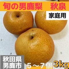男鹿梨「秋泉」3kg  家庭用　大将梨園　秋田県男鹿市産　#梨