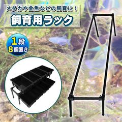 メダカ飼育黒ラック 1段8個置き めだか飼育棚 めだか飼育棚 容器棚 めだか容器産卵撮影 ビオトープ ゾウリムシ PSB ミジンコ 培養 針子