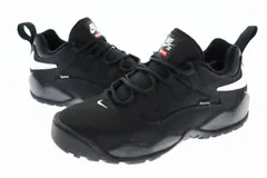 2025年最新】nike sb darwin low blackの人気アイテム - メルカリ