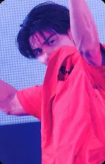 【中古】コレクションカード(男性) THE RAMPAGE from EXILE TRIBE/武知海青/DVD・Blu-ray「THE RAMPAGE LIMITED LIVE 2024 *p(R)ojectR at TOKYO DOME」LDHオフィシャルオ