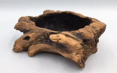 くり抜き プランターカバー 切り株 美品 木彫り オーダーメイド品 2026年最新】切り株 プランターの人気アイテム - メルカリ