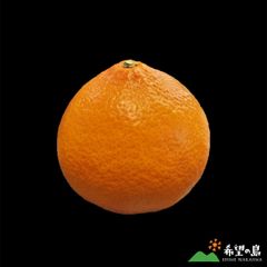 食品 新品種‼️愛媛産 紅ぷり 紅プリンセス同品種 秀品8kg ぷるぷる