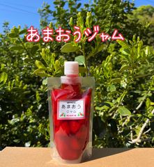 福岡県産　あまおうジャム  スパウト付パウチ入り　お試し用　手作りジャム