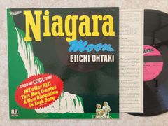 大瀧詠一「NIAGARA MOON」希少プロモ見本盤NAL-0002ELEC盤 大瀧詠一「NIAGARA MOON」希少プロモ見本盤NAL-0002ELEC盤 - メルカリ