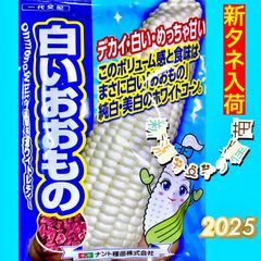 白いおおもの　スイートコーン　トウモロコシ　野菜　家庭菜園　とうもろこしの種