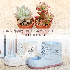 多肉植物2個× ブーツ型 キュイールポット ホワイト／グレー セット 培養土付き 鉢 雑貨 寄せ植え かわいい ミニ おしゃれ ガーデン