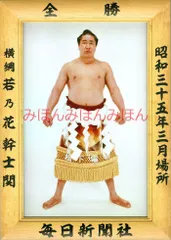 2025年最新】若乃花幹士の人気アイテム - メルカリ