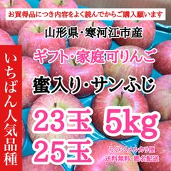【お買得品・贈答梱包5kg】山形県寒河江市産 サンふじ りんご 蜜入保証なし