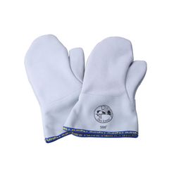 Item thumbnail for item 61456f41-5986-454b-acc5-a67a7143ddc9