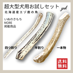 【遊び比べ】超大型犬用お試しセット　四つ割り＆半割り＆一本物根元　犬のおもちゃ　鹿の骨　G