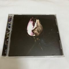 柳田周作 弾き語り CD 神はサイコロを振らない - メルカリ