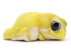 【動物の惑星】超超超激レア! トカゲ限定品&シークレット&廃盤品★フィギュア インセクテック・ドット・コム - メルカリShops