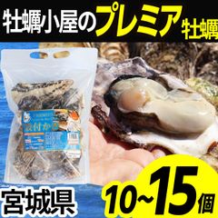 【大中サイズ】 牡蠣 冷凍 殻付き 10〜15個 産地直送 宮城県産 三陸 カキ kaki 牡蛎 生牡蠣 海鮮 貝 貝類 バーベキュー BBQ