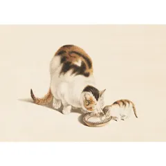A4サイズ ゴットフリートマインド ミルクシューター 猫 ポスター アートポスター レトロ ビンテージ ねこ