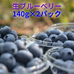生ブルーベリー140g×2パック浜松産農家厳選直送