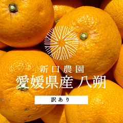 【産地直送】愛媛県八幡浜産 【八朔】5kg ※訳あり