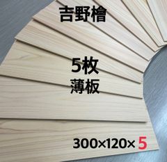 Item thumbnail for item 6ac4ef5a-a891-453a-a566-e04b93409472