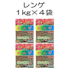 レンゲ種子　4kg【種】レンゲ種　レンゲ草　レンゲ　秋まき
