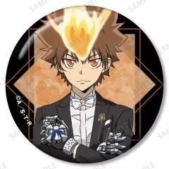 2026年最新】家庭教師ヒットマンREBORN! 描き下ろし 沢田 綱吉の人気