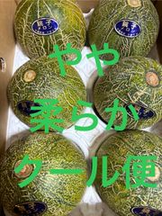 アムスメロン Lサイズ 箱込5.5キロ程度 千葉県産