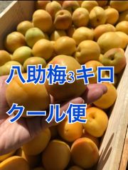 【クール便】八助梅　3キロ