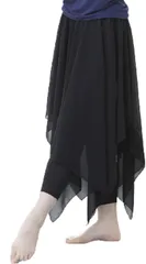 GIVEK シフォンスカート付き タイツ レギンス レディース ダンス衣装 ベリーダンス バレエのレッスン着 スパッツ ロング丈 シースルー素材 L( ブラック,  L)