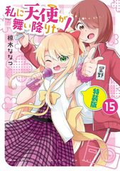 私に天使が舞い降りた9巻・特装版 アニメイト特典4Pブックレット付き