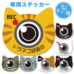 車用 ドラレコ録画中 選べるステッカー ドラネコ録画中 三毛猫 茶トラ 白猫 黒猫 サバトラ キジトラ