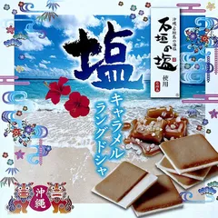 【夏季冷蔵】 沖縄塩キャラメルラングドシャ12枚入 送料無料 送料込み 石垣の塩 沖縄 お土産 プレゼント ギフト 沖縄土産 ご当地