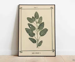 ♡130種♡フランスアンティーク植物標本ボタニカルブロカント