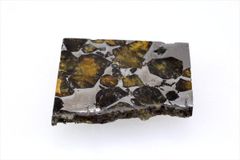 セイムチャン 7.2g スライス カット 標本 石鉄 隕石 パラサイト Seymchan 11