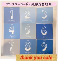 2501【即日発送】★大人気★マンスリーカード　月齢カード　アルバス整理用