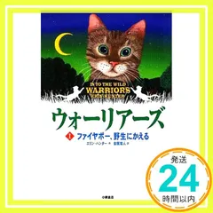 ⭐️小澤摩純　アクリル原画⭐️中世騎士物語1場面⭐︎ ⭐️小澤摩純アクリル原画⭐️中世騎士物語1場面⭐︎
