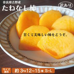 訳あり たねなし柿 約３キロ １０～1３個 サイズ混合 S〜２Ｌ 平核無柿 ひらたねなし柿 奈良県産 吉野産 奈良吉野 甘い おいしい カキ かき 種なし柿 種無し柿 たねなしかき わけあり