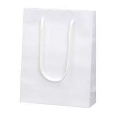 Item thumbnail for item e0b6e17b-bd37-4c03-b5f0-80156ce5eac9