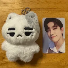 GOT7 ジニョン ぬいぐるみ Plush toy [Box included, Beauty] JINYOUNG - Park Jin-young