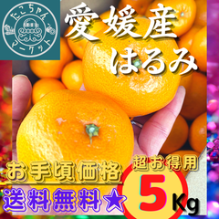 【☆超セール】愛媛県産　はるみ　濃厚・美品　M～2Lサイズ　5Kg