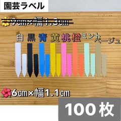 選べるカラー　100枚　6cm　園芸ラベル　多肉植物　プランター　鉢植え
