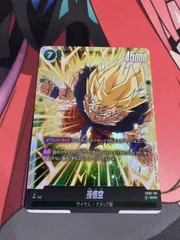 HIROfb05-119 SCR☆☆ 孫悟空 孫悟空(パラレル)【SCR☆】{FB05-119} - カードラッシュ