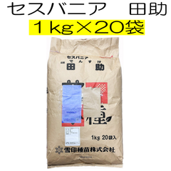 セスバニア 品種名：田助　20kg原袋（1kg×10袋）雪印種苗