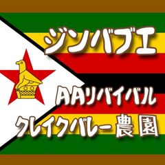 ジンバブエ／AAリバイバル・クレイクバレー農園★スペシャリティコーヒー　150g入り★ジンバブエ珈琲豆★自家焙煎コーヒー豆★ドリップコーヒー★エムリバーサイドコーヒー★mriversidecoffee