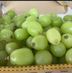 訳あり】シャインマスカット5kg粒売り 山梨県産 - メルカリ