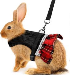 Item thumbnail for item bdf8cdb5-815a-4562-9f96-4317a6b13ed7