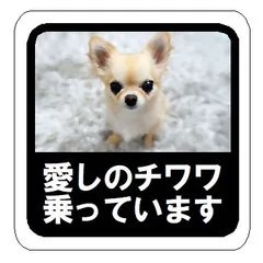 2025年最新】チワワマグネットの人気アイテム - メルカリ 